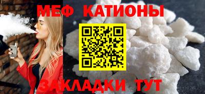 прущие грибы Заводоуковск