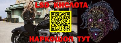 прущие грибы Заводоуковск