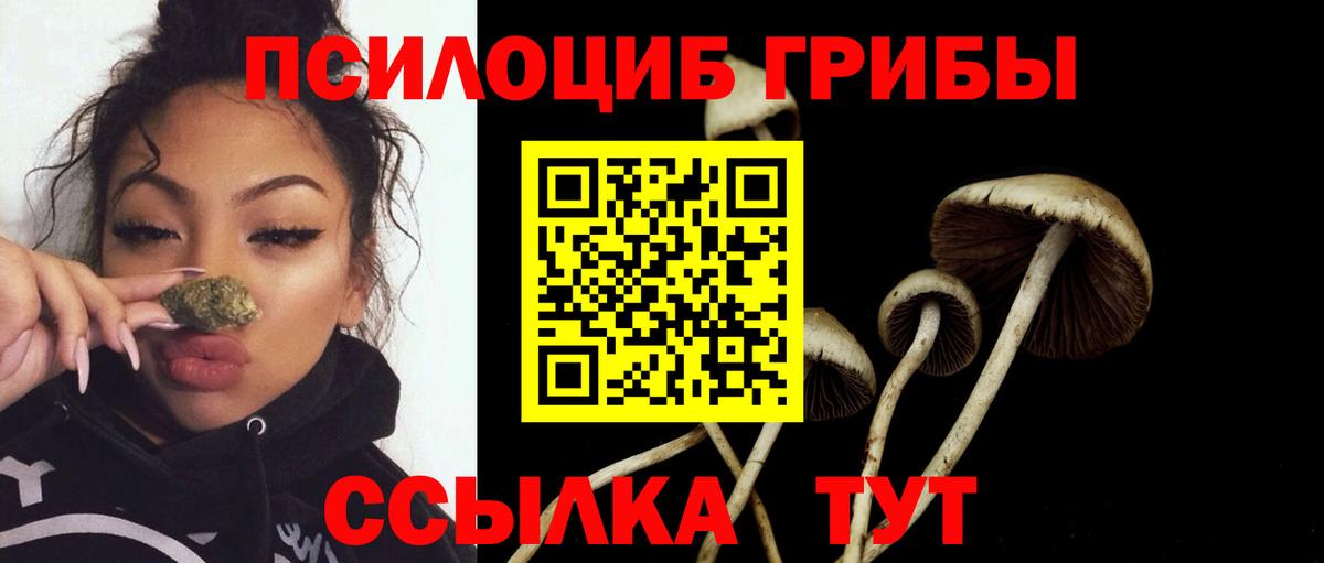 Галлюциногенные грибы Psilocybine cubensis Моздок